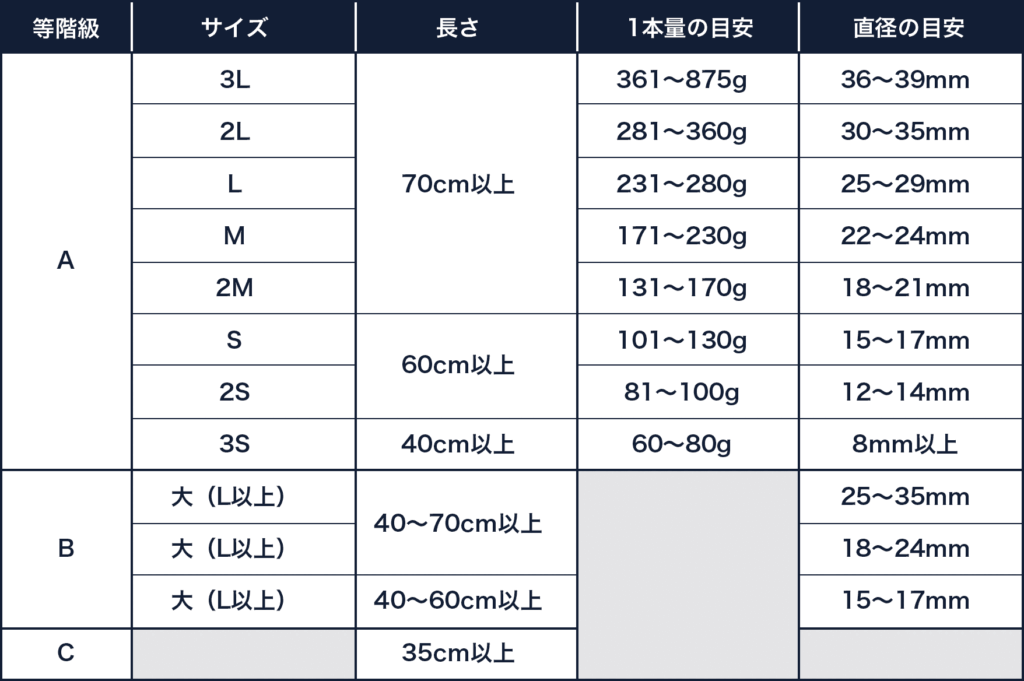 牛蒡選別規格表