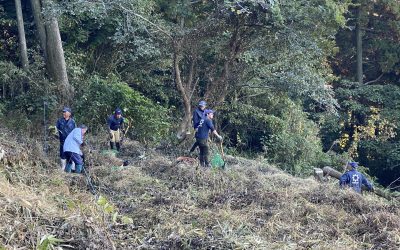 FC8A6C6B-6168-4C94-BD3A-49F8C7D474B7