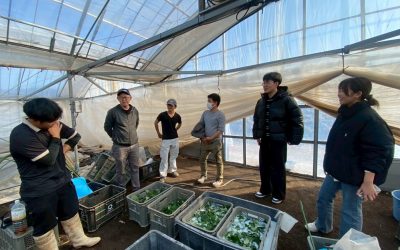 LINE_ALBUM_宮大インターン_260227_5